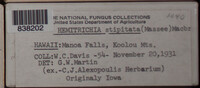Image Associated With the Occurence